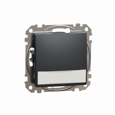 Sedna Design & Elements Przycisk zwierny z etykietą i podświetleniem 12VAC czarny antracyt SDD114143L SCHNEIDER (SDD114143L)