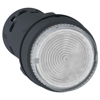 Harmony XB7 Przycisk bezbarwny z samopowrotem bez oznaczenia LED 24V XB7NW37B1 SCHNEIDER (XB7NW37B1)