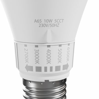 Żarówka LED E27 230V 10W wybór barwy 2700k/3000k/4000k/5000k/6500K (WOJ+14715)