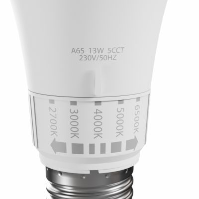 LED GLS E-27 230V 13W 5CCT SPECTRUM (WOJ+14716)