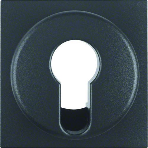 BERKER B.X Płytka czołowa do łącznika na klucz antracyt mat 15071606 HAGER - 24aee5fd94832bfa29236532afc25fdbb1a7ab2d.jpg