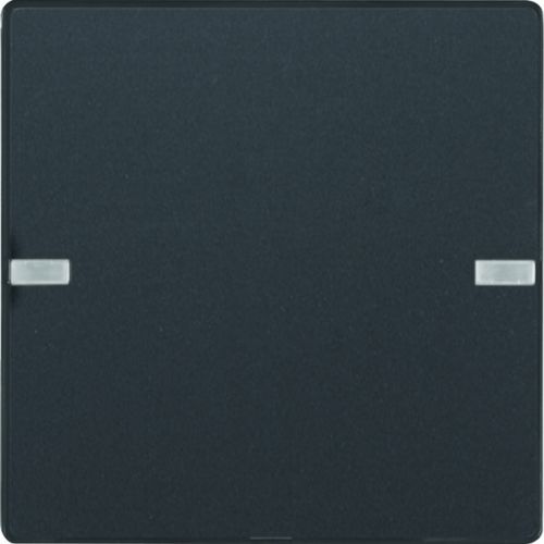 BERKER KNX e/s Q.x Przycisk pojedynczy z polem opisowym z diodami LED RGB i czujnikiem temperatury antracyt 80141326 HAGER - 34caf8a378b62362b97a94289dba3805de73ceaf.jpg