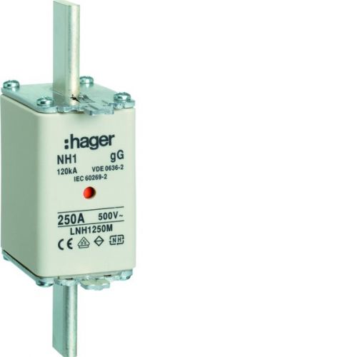 Wkładka bezp. nożowa NH1 wsk.podw. uchwyt nieiz. gG 250A 500 VAC LNH1250M HAGER - d6cfe53c0955d11dd48a7482f4eb11062faed977.jpg