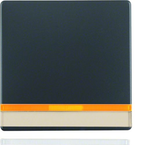 BERKER Q.x Klawisz z 2 dołączonymi soczewkami i z polem opisowym do łącznika 1-klawiszowego antracyt aksamit 16286086 HAGER - dbb6c4600c88e7fe14cf204b80fa83cc12b3dbc5.jpg