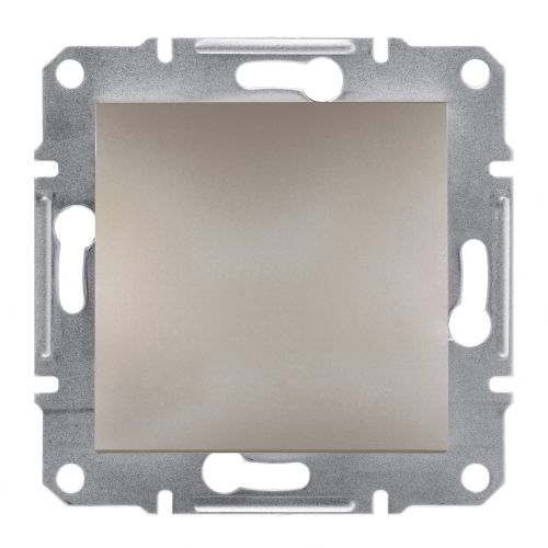 Asfora zaślepka bez ramki brąz EPH5600169 SCHNEIDER - eph5600169.jpg