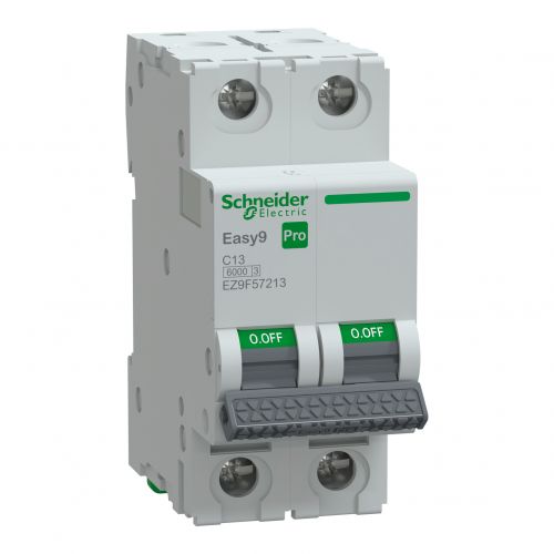 Wyłącznik nadprądowy Easy9 PRO 6kA 2P C13A SCHNEIDER - files_p_doc_ref_ez9f57213_iop_default_p_file_type_rendition_1500_jpg.jpg