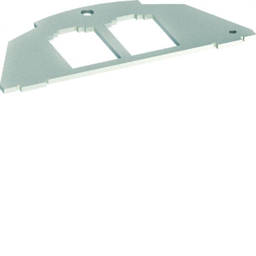 tehalit.VE-EE Płytka montażowa 2xRJ Typ 03 BTR 19,5x14,85 - BSM032 - m/23424837/bsm032.jpg