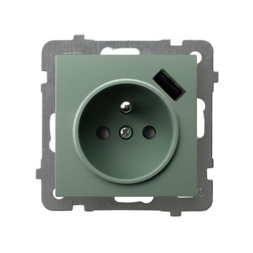 AS Gniazdo pojedyncze z uziemieniem z przesłonami torów prądowych, z ładowarką USB - kolor zielony m - gp-1gzpusb_m_84 - m/23616459/gp-1gzpusb-m-84.jpg