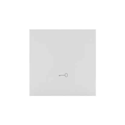 Simon 55 Klawisz pojedynczy z piktogramem /klucz/ do łączników/przycisków Jasnoszary mat TKWK1/114 KONTAKT - img_8510 - m/23617137/img-8510.png