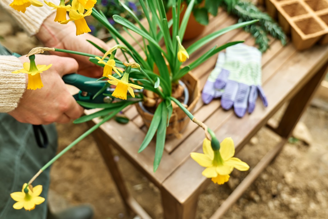 Przygotuj się na wiosnę w Twoim ogrodzie. Narzędzia, których będziesz potrzebować! - wiosenne-porzadki-elektrospark.jpg